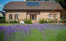 B&B Hildegarden